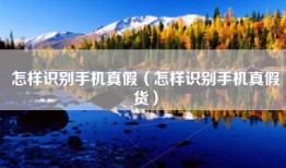 怎样识别手机真假（怎样识别手机真假货）