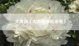 大声音（大声的手机来电）