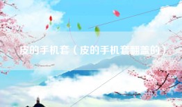 皮的手机套（皮的手机套翻盖的）