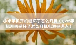 小米手机开机键坏了怎么开机（小米手机开机键坏了怎么开机电源键进入）