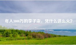 年入3000万的李子柒，凭什么这么火？