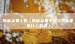 转转苹果手机（转转苹果手机其他版本是什么意思）