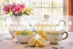 蓝牙耳机可以用手机充电器充电吗（蓝牙耳机能直接用手机充电器充电吗）