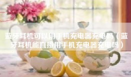 蓝牙耳机可以用手机充电器充电吗（蓝牙耳机能直接用手机充电器充电吗）