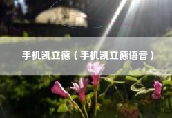 手机凯立德（手机凯立德语音）