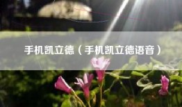 手机凯立德（手机凯立德语音）