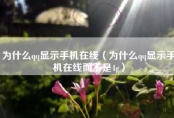为什么qq显示手机在线（为什么qq显示手机在线而不是4g）
