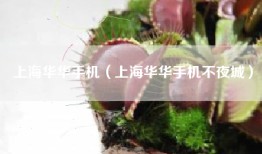 上海华华手机（上海华华手机不夜城）