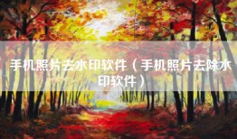 手机照片去水印软件（手机照片去除水印软件）