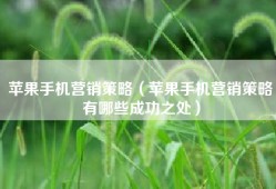 苹果手机营销策略（苹果手机营销策略有哪些成功之处）