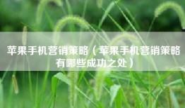 苹果手机营销策略（苹果手机营销策略有哪些成功之处）