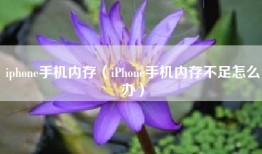 iphone手机内存（iPhone手机内存不足怎么办）
