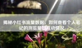 揭秘小红书流量数据，如何查看个人笔记的浏览量与互动情况