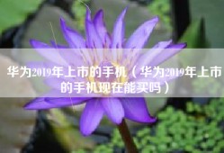 华为2019年上市的手机（华为2019年上市的手机现在能买吗）