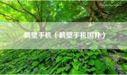 鹤壁手机（鹤壁手机国补）