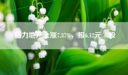 格力地产上涨7.37%，报6.12元／股