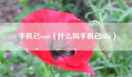 手机已root（什么叫手机已root）
