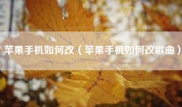 苹果手机如何改（苹果手机如何改歌曲）