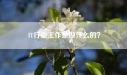 IT行业工作是做什么的？