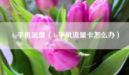 4g手机流量（4g手机流量卡怎么办）