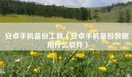 安卓手机备份工具（安卓手机备份数据用什么软件）