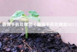 最强手机处理器（最强手机处理器2023）