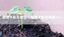 最强手机处理器（最强手机处理器2023）