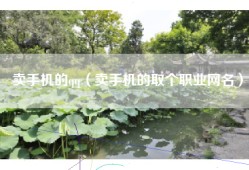 卖手机的qq（卖手机的取个职业网名）