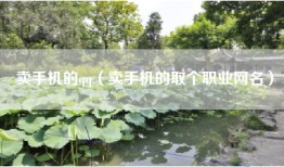 卖手机的qq（卖手机的取个职业网名）