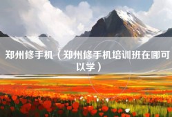 郑州修手机（郑州修手机培训班在哪可以学）