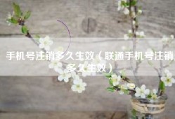 手机号注销多久生效（联通手机号注销多久生效）