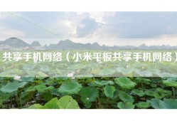 共享手机网络（小米平板共享手机网络）
