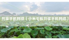 共享手机网络（小米平板共享手机网络）