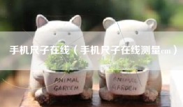手机尺子在线（手机尺子在线测量cm）