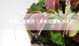 手机位置更改（手机位置更改IP）
