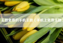 主题免费的手机主题（手机上免费主题）