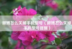 微博怎么关掉手机型号（微博怎么关掉手机型号提醒）