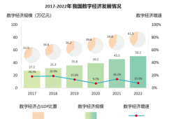 解析：什么是数字化转型