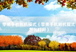 苹果手机刷机模式（苹果手机刷机模式怎么打开）
