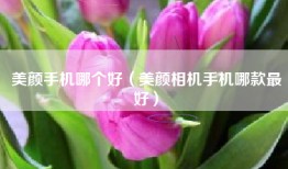 美颜手机哪个好（美颜相机手机哪款最好）