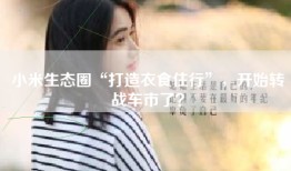 小米生态圈“打造衣食住行”，开始转战车市了？