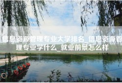 信息资源管理专业大学排名_信息资源管理专业学什么_就业前景怎么样