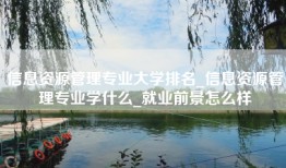 信息资源管理专业大学排名_信息资源管理专业学什么_就业前景怎么样