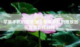 苹果手机的播放器（苹果手机的播放器在哪里怎样打开）