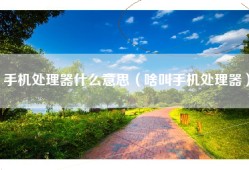 手机处理器什么意思（啥叫手机处理器）
