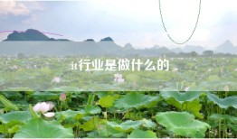 it行业是做什么的