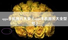 oppo手机图片大全（oppo手机图片大全型号）