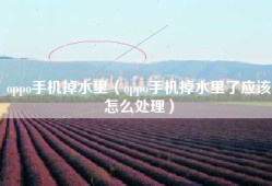 oppo手机掉水里（oppo手机掉水里了应该怎么处理）