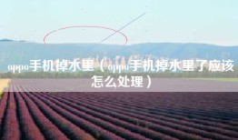 oppo手机掉水里（oppo手机掉水里了应该怎么处理）