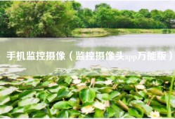 手机监控摄像（监控摄像头app万能版）